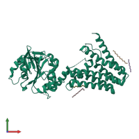 PDB entry 4mnd coloured by chain, front view.