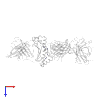 Telomerase reverse transcriptase in PDB entry 4mnq, assembly 1, top view.