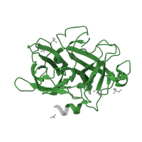 The deposited structure of PDB entry 4mny contains 2 copies of Pfam domain PF00089 (Trypsin) in Urokinase-type plasminogen activator chain B. Showing 1 copy in chain A.