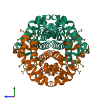 Hetero tetrameric assembly 1 of PDB entry 4mqc coloured by chemically distinct molecules, side view.