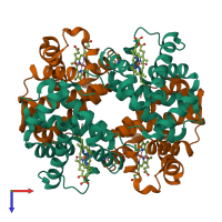 Hetero tetrameric assembly 1 of PDB entry 4mqc coloured by chemically distinct molecules, top view.