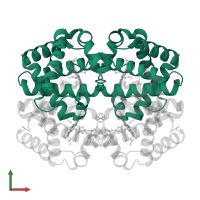 Hemoglobin subunit alpha in PDB entry 4mqc, assembly 1, front view.