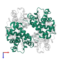 Hemoglobin subunit alpha in PDB entry 4mqc, assembly 1, top view.