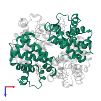 Hemoglobin subunit alpha in PDB entry 4mqk, assembly 1, top view.