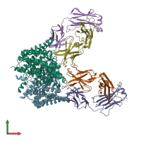 PDB entry 4mqx coloured by chain, front view.