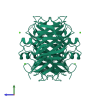Homo tetrameric assembly 1 of PDB entry 4mrb coloured by chemically distinct molecules, side view.