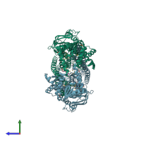 PDB entry 4mrp coloured by chain, side view.