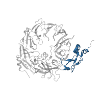 The deposited structure of PDB entry 4msl contains 1 copy of CATH domain 3.30.60.270 (Wheat Germ Agglutinin (Isolectin 2); domain 1) in Sortilin. Showing 1 copy in chain A.