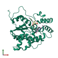 PDB entry 4mub coloured by chain, front view.