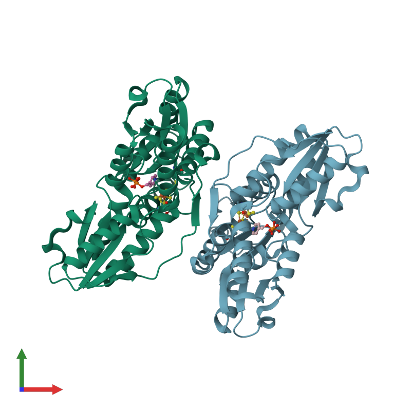 <div class='caption-body'><ul class ='image_legend_ul'>The deposited structure of PDB entry 4muy coloured by chain and viewed from the front. The entry contains: <li class ='image_legend_li'>2 copies of 4-hydroxy-3-methylbut-2-enyl diphosphate reductase</li><li class ='image_legend_li'>[]<ul class ='image_legend_ul'><li class ='image_legend_li'>2 copies of FE3-S4 CLUSTER</li> <li class ='image_legend_li'>2 copies of pyridin-4-ylmethyl trihydrogen diphosphate</li></ul></li></div>