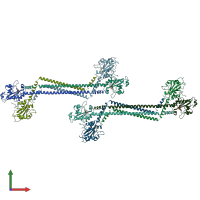 PDB entry 4mvd coloured by chain, front view.