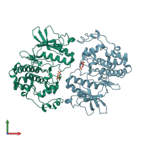 PDB entry 4myg coloured by chain, front view.