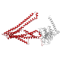 The deposited structure of PDB entry 4myh contains 3 copies of CATH domain 1.20.1560.10 (ABC transporter transmembrane region fold) in Iron-sulfur clusters transporter ATM1, mitochondrial. Showing 1 copy in chain A.