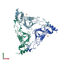 PDB entry 4myo coloured by chain, front view.