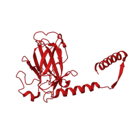 The deposited structure of PDB entry 4mzr contains 4 copies of CATH domain 2.60.40.720 (Immunoglobulin-like) in Cellular tumor antigen p53. Showing 1 copy in chain A.