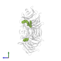 (1S,2R)-2-{[(1S)-1-[(1-oxo-1,3-dihydro-2H-isoindol-2-yl)methyl]-3,4-dihydroisoquinolin-2(1H)-yl]carbonyl}cyclohexanecarboxylic acid in PDB entry 4n1b, assembly 1, side view.