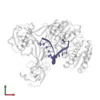 5'-D(P*AP*CP*CP*TP*AP*CP*TP*AP*CP*CP*TP*CP*G)-3' in PDB entry 4n41, assembly 1, front view.