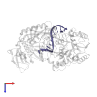 5'-D(P*AP*CP*CP*TP*AP*CP*TP*AP*CP*CP*TP*CP*G)-3' in PDB entry 4n41, assembly 1, top view.