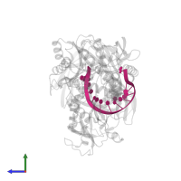 5'-D(*AP*AP*CP*CP*TP*AP*CP*TP*GP*CP*CP*TP*CP*G)-3' in PDB entry 4n41, assembly 2, side view.
