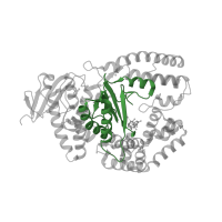 The deposited structure of PDB entry 4n5s contains 1 copy of CATH domain 3.30.70.370 (Alpha-Beta Plaits) in DNA polymerase I, thermostable. Showing 1 copy in chain C [auth A].