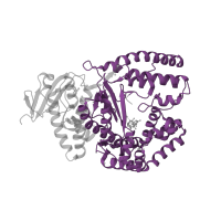 The deposited structure of PDB entry 4n5s contains 1 copy of Pfam domain PF00476 (DNA polymerase family A) in DNA polymerase I, thermostable. Showing 1 copy in chain C [auth A].