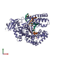 PDB entry 4n5s coloured by chain, front view.