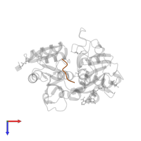 Lactotransferrin in PDB entry 4n6p, assembly 1, top view.