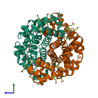 Hetero tetrameric assembly 1 of PDB entry 4n7n coloured by chemically distinct molecules, side view.