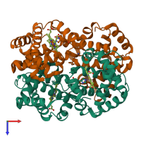 Hetero tetrameric assembly 1 of PDB entry 4n7n coloured by chemically distinct molecules, top view.