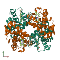 Hetero tetrameric assembly 2 of PDB entry 4n7n coloured by chemically distinct molecules, front view.