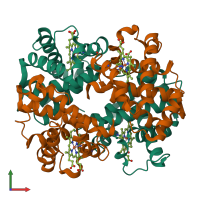 Hetero tetrameric assembly 3 of PDB entry 4n7n coloured by chemically distinct molecules, front view.