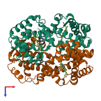 Hetero tetrameric assembly 3 of PDB entry 4n7n coloured by chemically distinct molecules, top view.