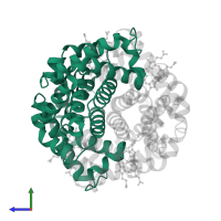 Hemoglobin subunit alpha in PDB entry 4n7n, assembly 1, side view.