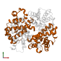 Hemoglobin subunit beta in PDB entry 4n7n, assembly 1, front view.