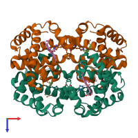 Hetero tetrameric assembly 2 of PDB entry 4n7p coloured by chemically distinct molecules, top view.