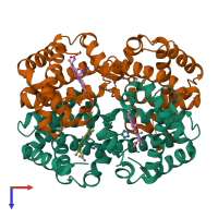 Hetero tetrameric assembly 3 of PDB entry 4n7p coloured by chemically distinct molecules, top view.