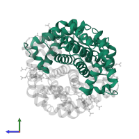 Hemoglobin subunit alpha in PDB entry 4n7p, assembly 1, side view.