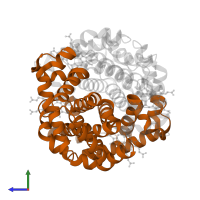 Hemoglobin subunit beta in PDB entry 4n7p, assembly 1, side view.