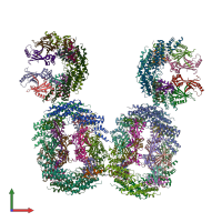 PDB entry 4n9f coloured by chain, front view.