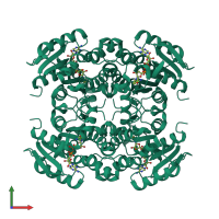 Homo tetrameric assembly 1 of PDB entry 4nbt coloured by chemically distinct molecules, front view.