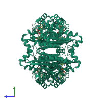 Homo tetrameric assembly 1 of PDB entry 4nbt coloured by chemically distinct molecules, side view.