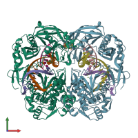 PDB entry 4nca coloured by chain, front view.