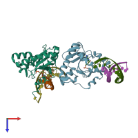 PDB entry 4ndh coloured by chain, top view.