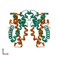 Hetero tetrameric assembly 1 of PDB entry 4ne5 coloured by chemically distinct molecules, front view.