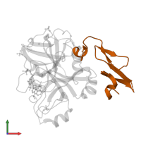 Factor VII light chain in PDB entry 4ng9, assembly 1, front view.