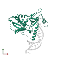 Endoribonuclease Dicer in PDB entry 4ngc, assembly 1, front view.