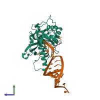 Hetero trimeric assembly 1 of PDB entry 4ngd coloured by chemically distinct molecules, side view.