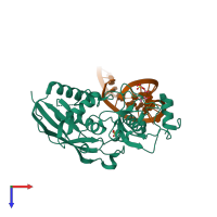 Hetero trimeric assembly 1 of PDB entry 4ngd coloured by chemically distinct molecules, top view.