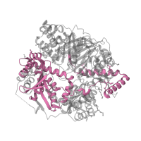 The deposited structure of PDB entry 4nge contains 1 copy of Pfam domain PF08367 (Peptidase M16C associated) in Presequence protease, mitochondrial. Showing 1 copy in chain A.