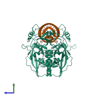 Hetero tetrameric assembly 2 of PDB entry 4ngg coloured by chemically distinct molecules, side view.